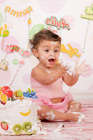 Smash the cake photo session by edilane silva photography hudson ma