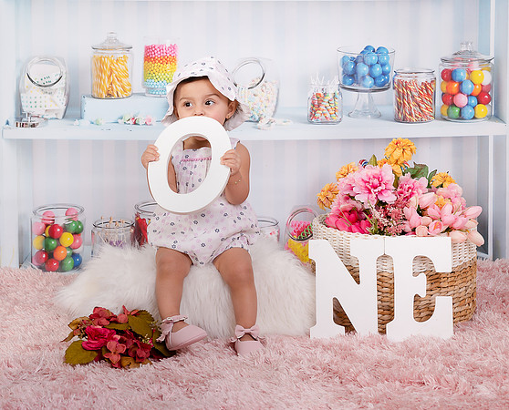 Smash the cake photo session by edilane silva photography hudson ma