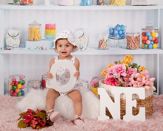 Smash the cake photo session by edilane silva photography hudson ma