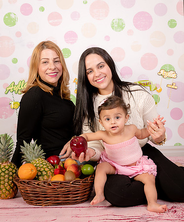 Smash the cake photo session by edilane silva photography hudson ma